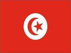 سفارة جمهورية تونس