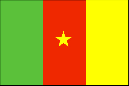 سفارة جمهورية الكاميرون